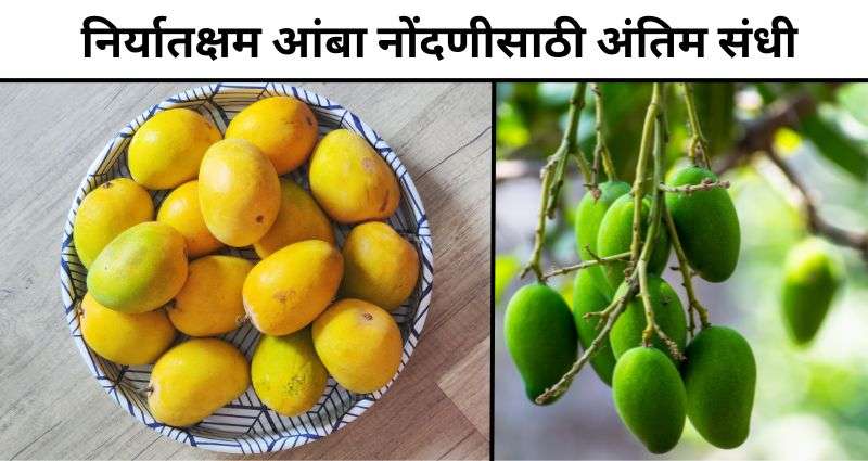 Mango Registration