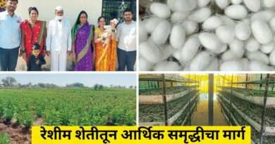 Sericulture success story