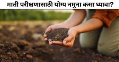 Soil Testing