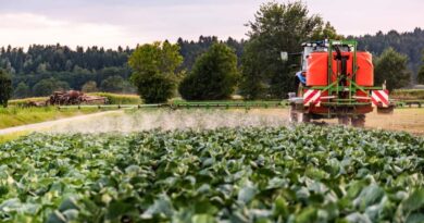 Sustainable Agriculture with CRFs