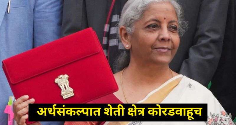 Union Budget 2025 (1)