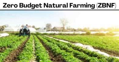 Zero Budget Natural Farming (ZBNF)