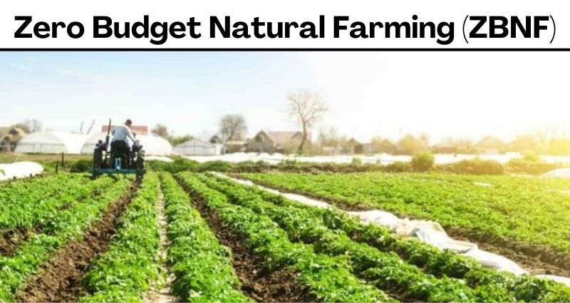 Zero Budget Natural Farming (ZBNF)