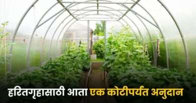 Greenhouse Subsidy