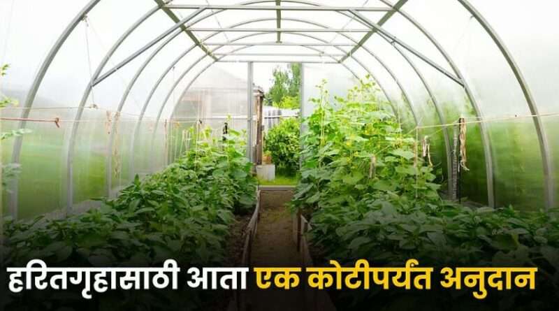 Greenhouse Subsidy