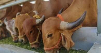 जनावरांचे संगोपन प्रशिक्षण