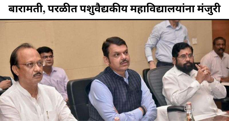 पशुवैद्यकीय महाविद्यालयांना मंजुरी
