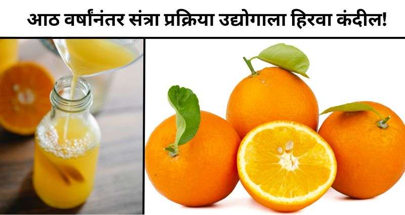 Orange Processing Industry