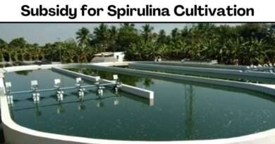 Subsidy for Spirulina